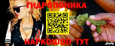 бошки Свободный