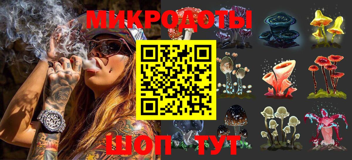 Псилоцибиновые грибы Psilocybine cubensis Сертолово
